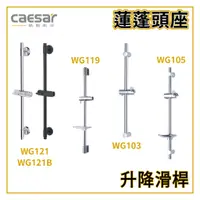 在飛比找蝦皮購物優惠-〖Caesar 凱撒衛浴〗滑桿 WG121 WG119 WG