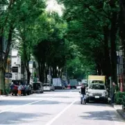 The Ordinary Road (First Press Limited Edition B CD Blu ray) Straitener