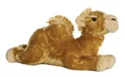 Aurora - Medium Brown Flopsie - 12" Sahara - Adorable Stuffed Animal
