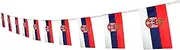 Country String Banner Flag,5.5 x 8.2 Inch String Flag Banner,Indoor and Outdoor Party Decorations,16 ft 20 Mini Flags. (Serbia)