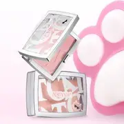 NEIYOU - Cool Kitten Out of Focus Setting Blusher - 6 Colors 02# South Holiday - 3g