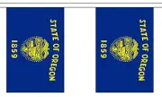 OREGON U.S. STATE BUNTING 9 metres 30 flags Polyester flag