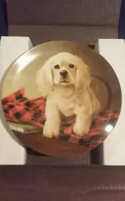 Knowles collector plate "SHIRT TALES-THE COCKER SPANIEL"
