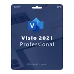 PROFESSIONAL VISIO 各年份