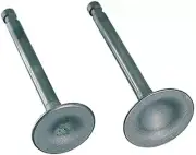 KITACO Valve set STD Stem diameter φ5.5 For Kitaco cylinder head 302-1013011