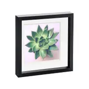 Nicola Spring 10" x 10" Black 3D Box Photo Frame - 8" x 8" Mount