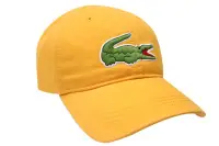 在飛比找蝦皮購物優惠-🚀UrTYPE🚀 正品現貨 LACOSTE BIG CROC