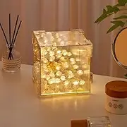 Tulip Night Light,Led Decorative Nights Lamp for Bedroom,Handmade DIY Magic Cube Tulips Flower Table Lamp and Mirror 2 in 1,21 Flowers Birthday Gifts for Women and Girl Gifts (Pink Roses)