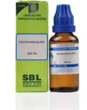 SBL Cicuta Maculata Dilution 200CH