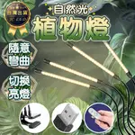 【台灣出貨-免運】 植物燈 植物生長燈 植物燈全光譜 全光譜植物燈 多肉燈 全光譜 植物補光燈 生長燈 夾式 防水