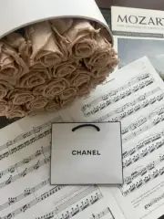 CHANEL 5” x 5.5” X 2” Authentic Paper Gift/Shopping Bag Mini White-BRAND NEW