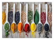 Spices Canvas Print