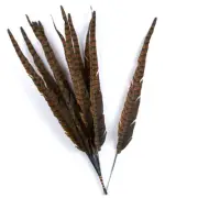 Bulk Package of 24 Artificial 21" Pheasant Feathers
