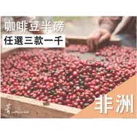 在飛比找蝦皮購物優惠-//菁咖啡coffeedrink //咖啡豆_衣索比亞 西達