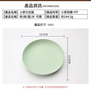 【Pena 珮娜餐具】小麥沙拉盤 22.5cm -四入組(盤子、環保餐盤)