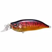 Megabass Lure IXI SHAD TYPE-R GP spawn killer Brand New