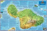 Maui Hawaii Adventure Guide Laminated Map by Franko Maps