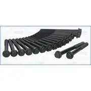 Austral Cylinder Head Bolt Set - 81030500
