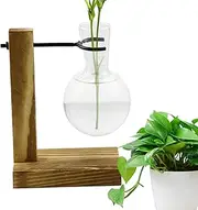 Plant Propagation Jars - Propagate Plant Holder Test Tube Hydroponic Rack with Wooden Stand | Flower Rack Hydroponic Container Vase Jars for Women, Mom, Home
