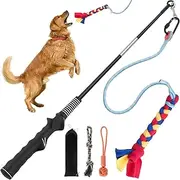 HiLLeo Interactive Dog Toys for Aggressive Chewers, Flirt Pole Dog Toy for Small Medium Large Dogs Chase and Tug of War with 3 Lure Chewing Toy and Organizer Bag, for Outdoor Exercise & Training