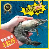 在飛比找momo購物網優惠-【好嬸水產】晉級巨人手臂蝦1KG/8隻