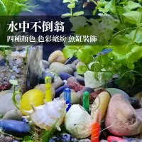 在飛比找蝦皮購物優惠-【馬克水族】水中不倒翁 魚缸造景 水族造景 魚缸水族裝飾 迷