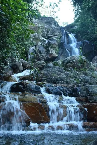 辛哈拉賈庫魯拉生態度假村Sinharaja Kurulu Ella Eco Resort