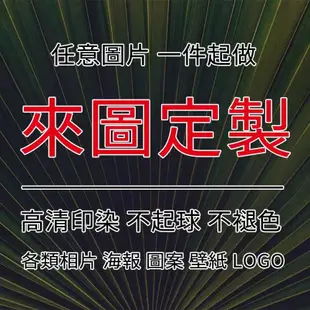 可愛小吉娃娃奇娃娃狗狗鏟屎官臥室主題裝飾背景布海報掛布掛毯畫 可客製 超好看 熱賣