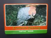 RETRO AUSTRALIAN POSTCARD- GANG GANG CURRUMBIN SANCTUARY, GOLD COAST