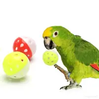 在飛比找蝦皮商城優惠-鸚鵡訓練綵球 寵物玩具 寵物用品 塑膠發聲貓咪狗狗內置彩珠 