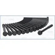 Austral Cylinder Head Bolt Set - 81012800