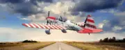 Super Chipmunk 40" Wingspan RC Model Airplane Plans & Templates PRINTED