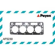 Payen Head Gasket - AF5230