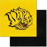 FANMATS 18713 NCAA University of Arkansas at Pine Bluff Team Carpet Tile, Team Color, 18" x 18"