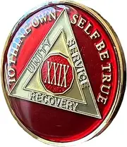 29 Year AA Medallion Metallic Mandarin Red Tri-Plate Sobriety Chip Serenity Prayer Back