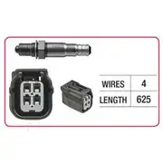 RAE Oxygen Sensor - OX745