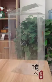 50 Piece Pack -PVC Clear See Through Plastic 22*14.5*14.5cm Tall Rectangle Cube Box - Large Product Exhibition Promotion Hat Gift