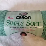 Caron Simply Soft Acrylic Yarn SAGE #9705 6 oz skein