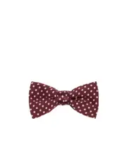 bow tie in polka dot silk satin One size Wine red/chalk white