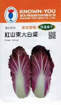 在飛比找Yahoo!奇摩拍賣優惠-四季園  紅山東大白菜(Chinese Cabbage) s