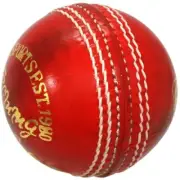Leather Cricket Training ball 156g