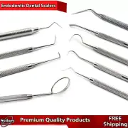 Dental Teeth Cleaning Kit Dentist Scraper Pick Hygienic Calculus Plaque Remover