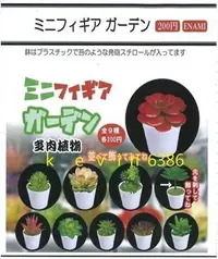 在飛比找Yahoo!奇摩拍賣優惠-東京都-ENAMI 盆栽 植物 轉蛋 扭蛋 多肉植物(全9種