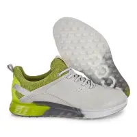 在飛比找蝦皮購物優惠-淺綠色 Ecco 高爾夫球鞋