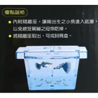 在飛比找蝦皮購物優惠-S 隔離 產卵 繁殖  飼育盒 箱 孵化 孔雀魚 鬥魚 小型