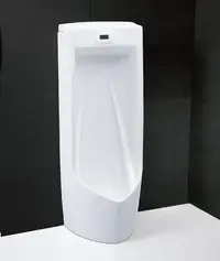 在飛比找Yahoo!奇摩拍賣優惠-《101衛浴精品》凱撒 CAESAR 內建感應沖水器大型立式