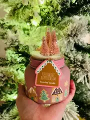 Aldi Huntington Home Snow Globe Candle Peppermint Buttercream Limited Edition