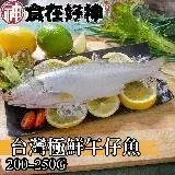 在飛比找遠傳friDay購物優惠-【食在好神】職人三去午仔魚200-250g(共10尾入)