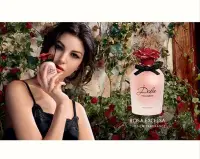 在飛比找Yahoo!奇摩拍賣優惠-D&G Dolce & Gabbana Rose Excel