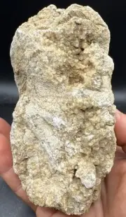Fossilized Coral Devonian Crystal Indiana Quartz Calcite Limestone 833 Grams